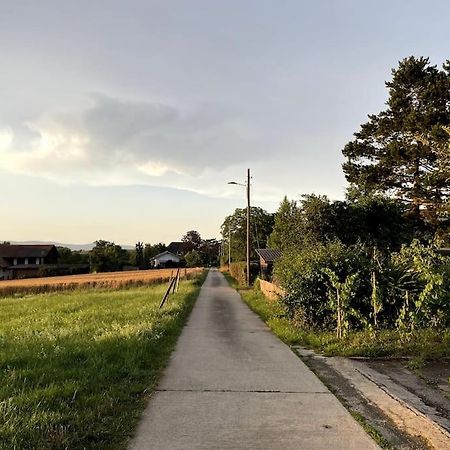 Joli Appartement Paisible Corcelles-sur-Chavornay Eksteriør billede